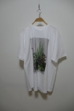 画像1: YUKI SHIMANE Still life T-Shirt (1)