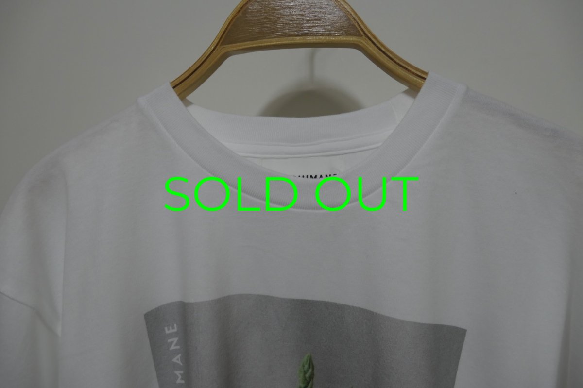 画像2: YUKI SHIMANE Still life T-Shirt (2)