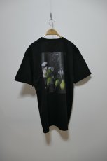 画像4: YUKI SHIMANE Still life T-Shirt (4)