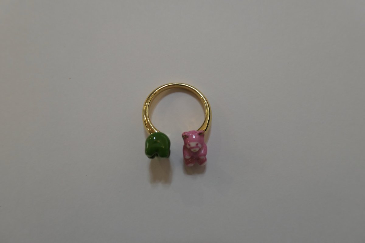 画像1: NACH ring (1)