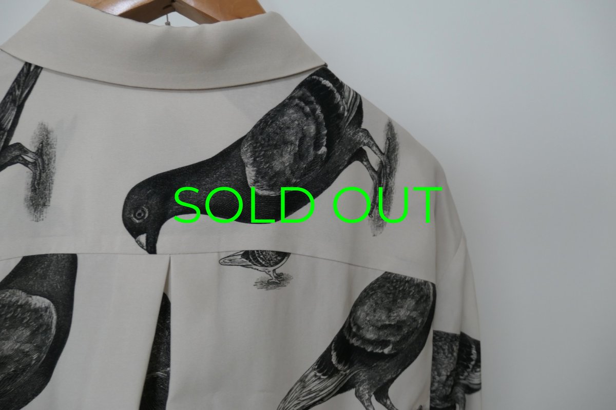画像6: ETHOSENS Turtledove Shirt (6)