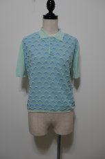 画像1: Eatable Of Many Orders Dicot Polo (1)